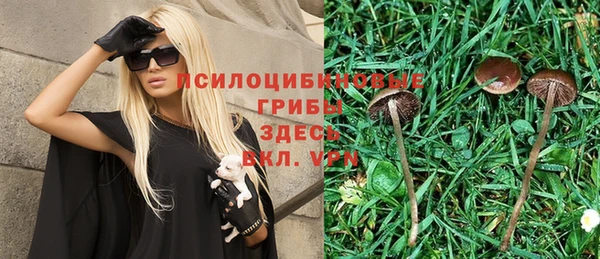 бошки Балахна