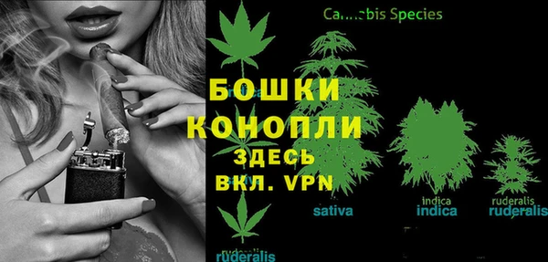 тгк Баксан