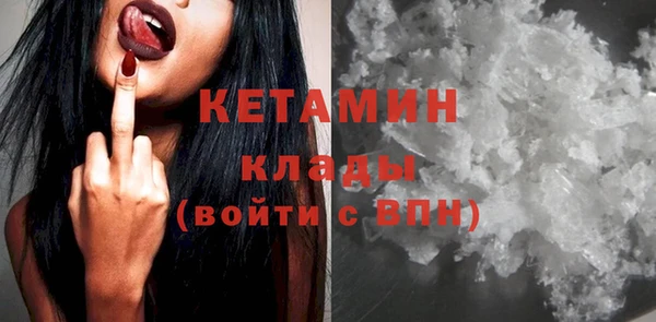 шишки Покачи