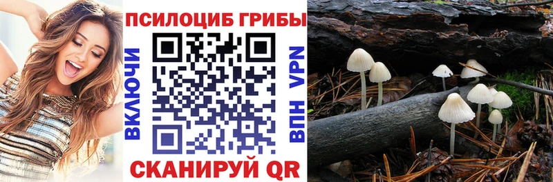 даркнет телеграм Шали Псилоцибиновые грибы ЛСД купить наркоту